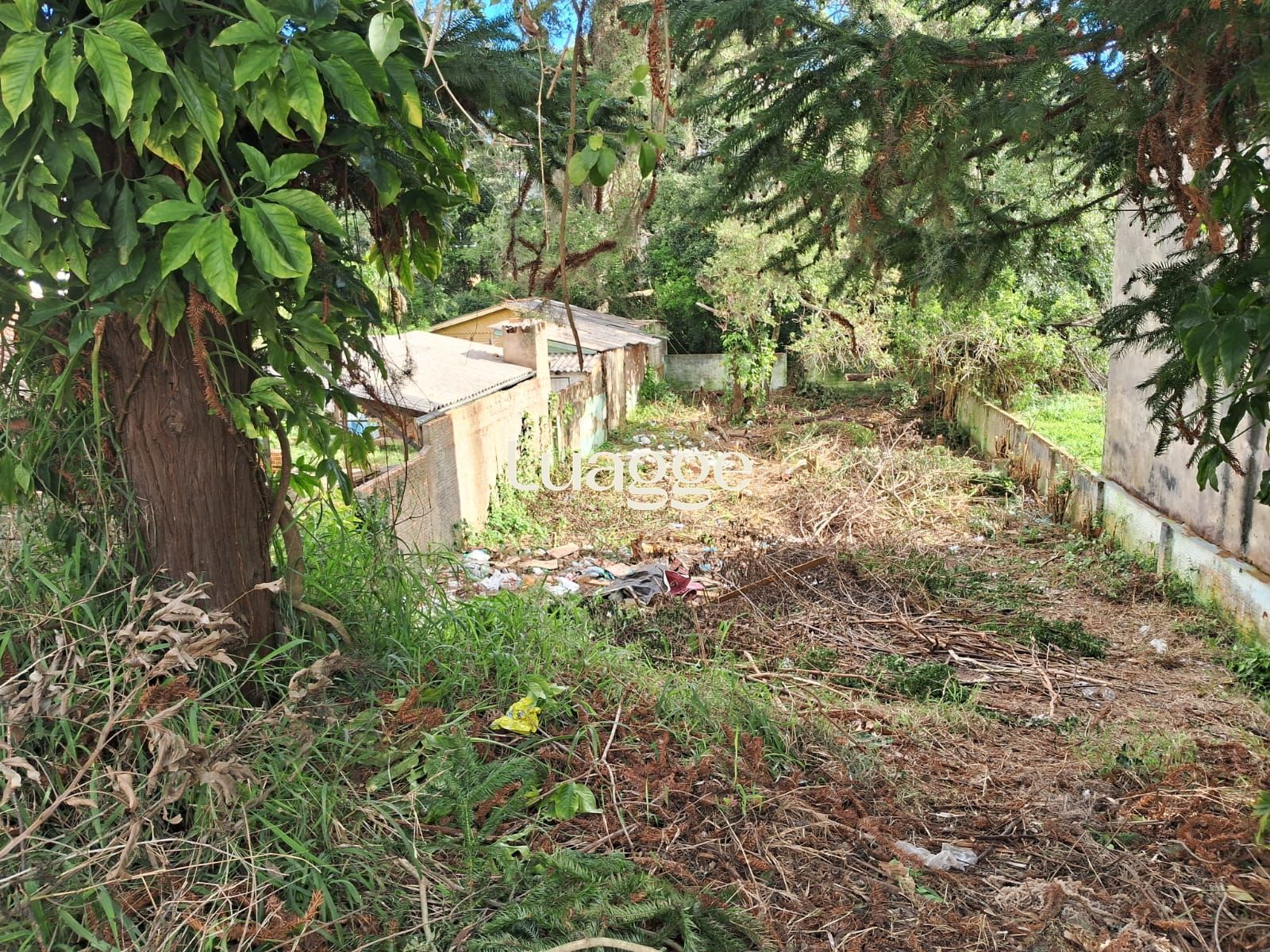 Terreno, à venda, Teresópolis - Porto Alegre — foto 2
