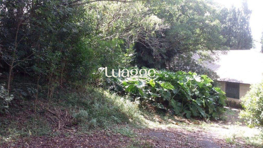 Terreno à venda, 10659m² - Foto 5