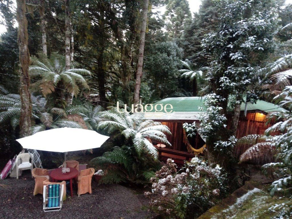 Casa à venda com 5 quartos, 168m² - Foto 5