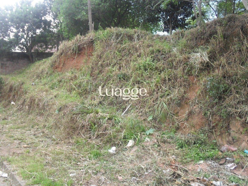 Terreno à venda, 298m² - Foto 3