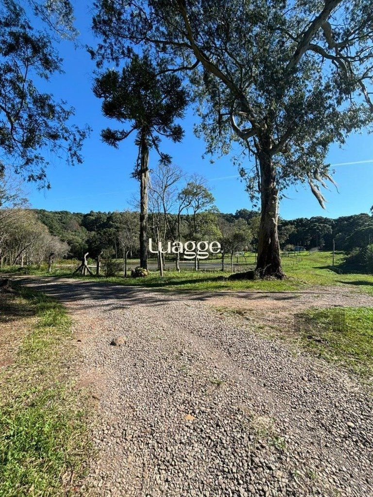 Sítio à venda, 19999m² - Foto 4