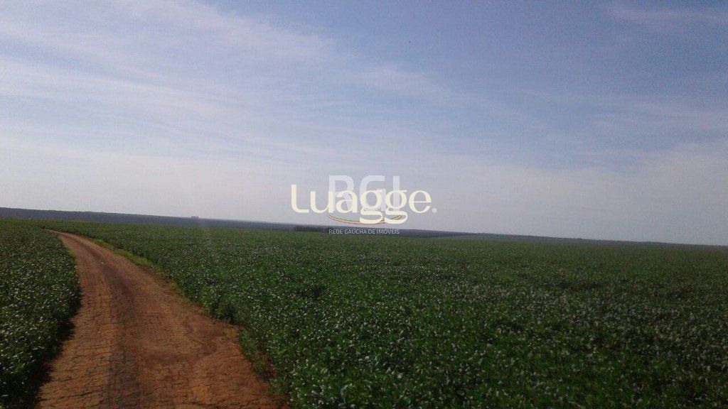 Terreno, 1050 hectares - Foto 3