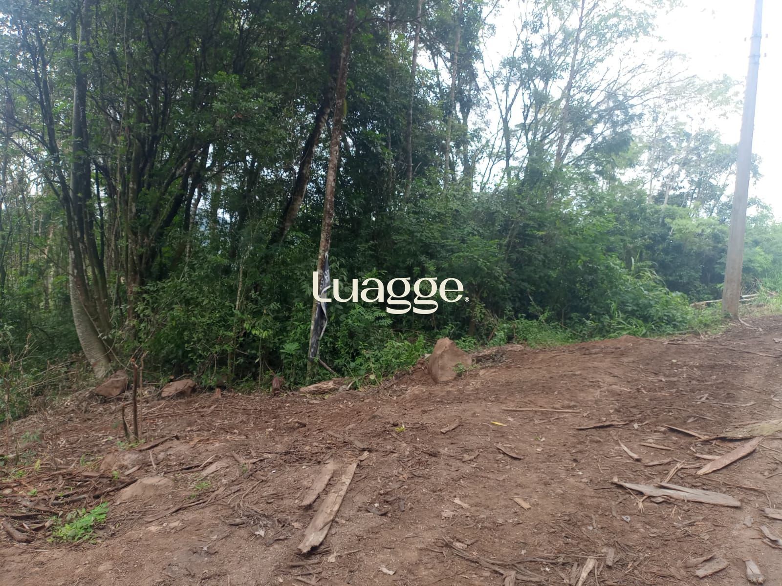 Terreno, à venda, Padilha - Taquara — foto 5