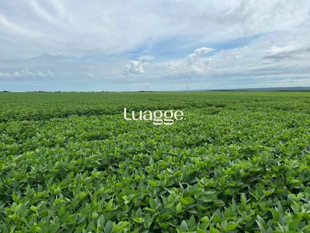 Fazenda à venda, 8500002m² - Foto 37