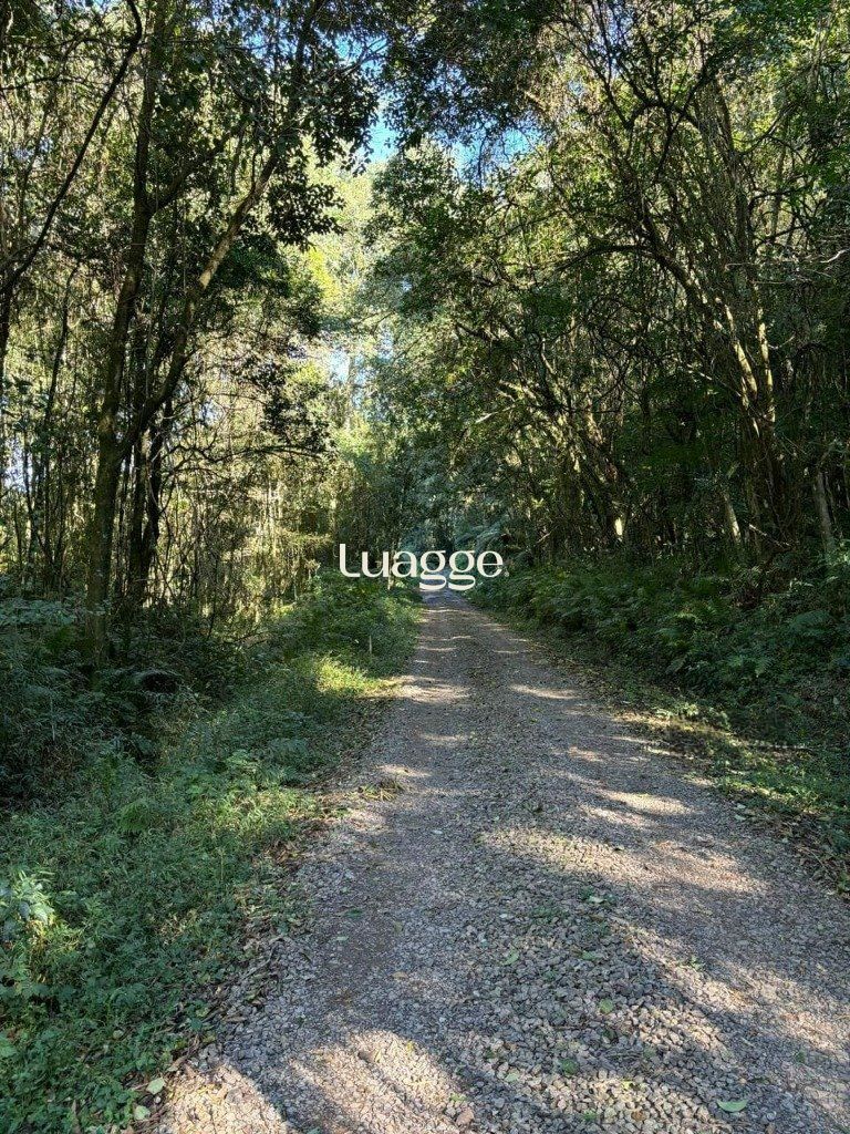 Sítio à venda, 19999m² - Foto 11