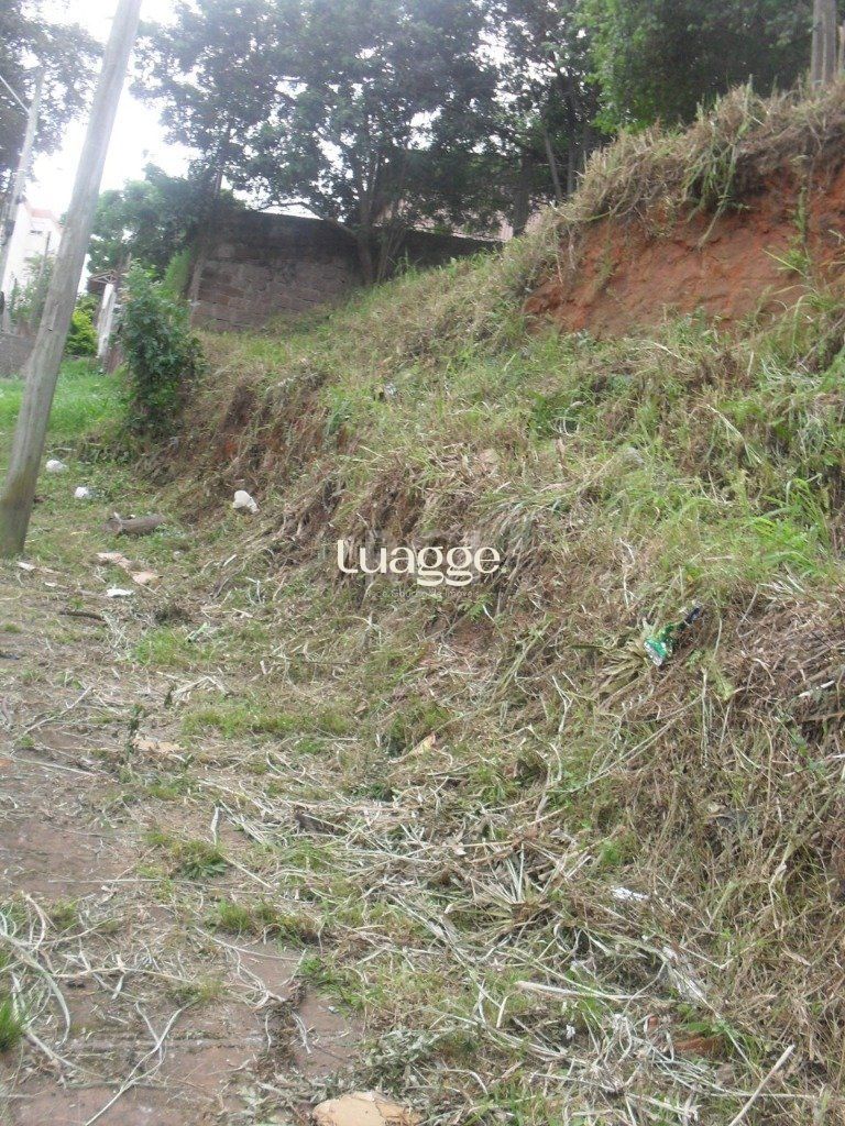 Terreno à venda, 298m² - Foto 7