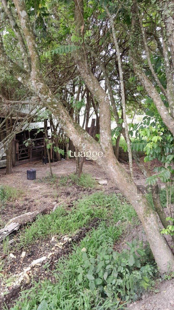 Terreno, 1001 m² - Foto 7