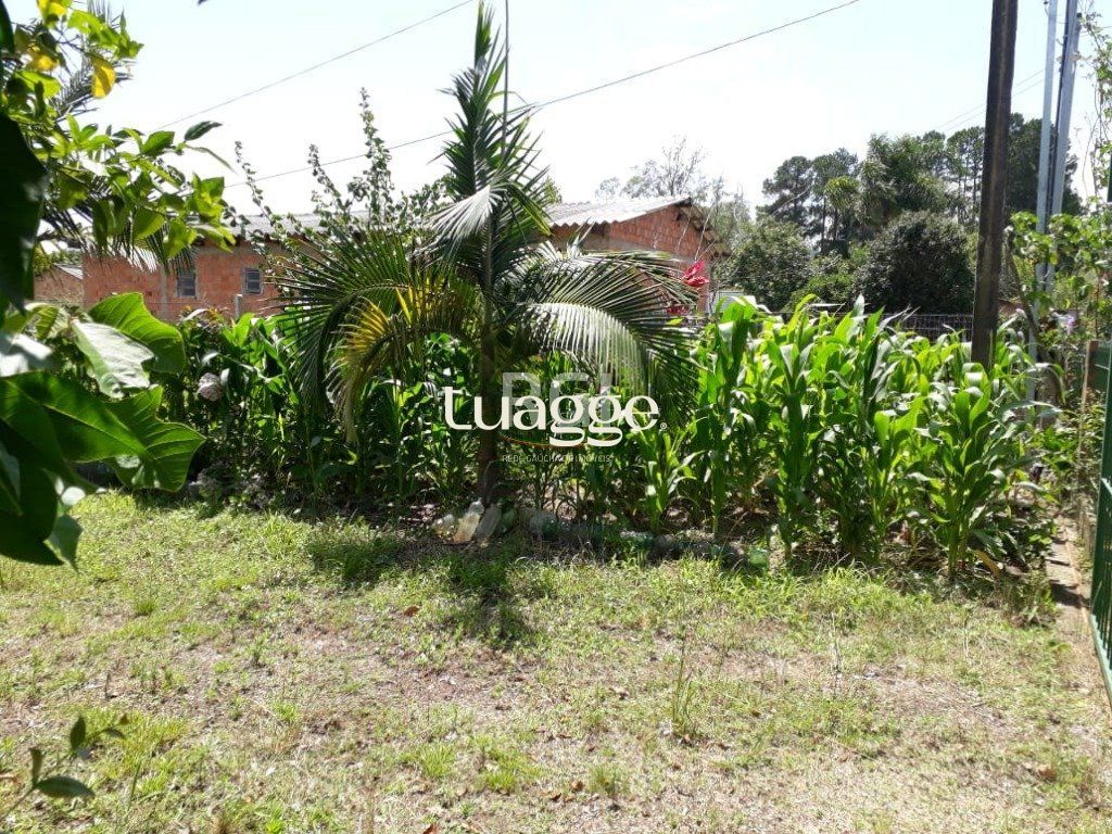 Terreno, 991 m² - Foto 17