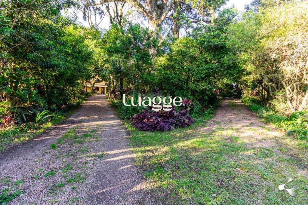 Sítio à venda, 25002m² - Foto 19