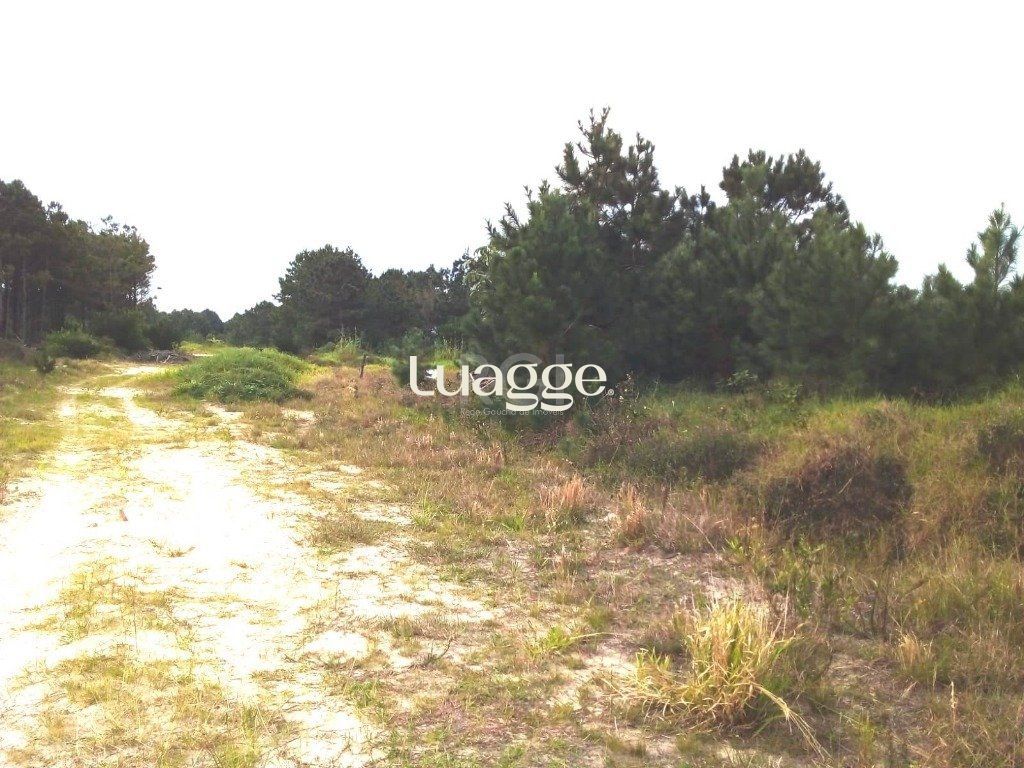 Terreno, 301 m² - Foto 5