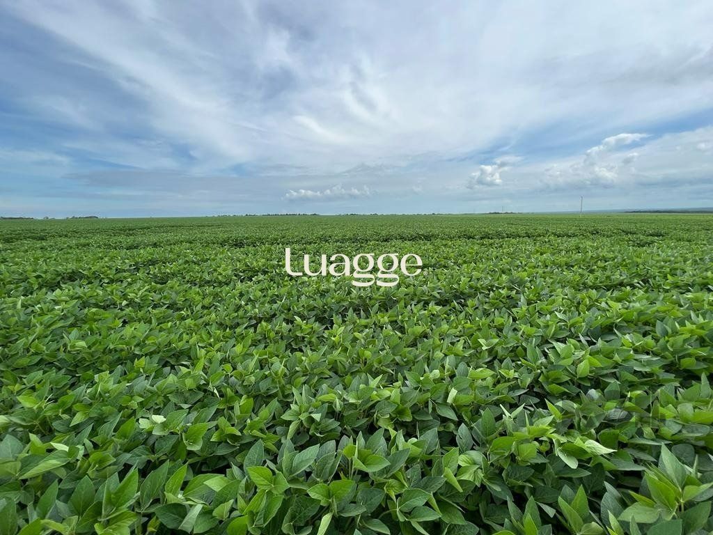 Fazenda à venda, 8500002m² - Foto 33