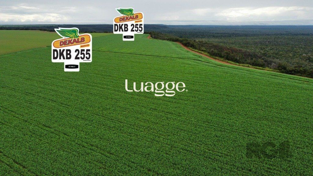 Fazenda à venda, 8500002m² - Foto 35