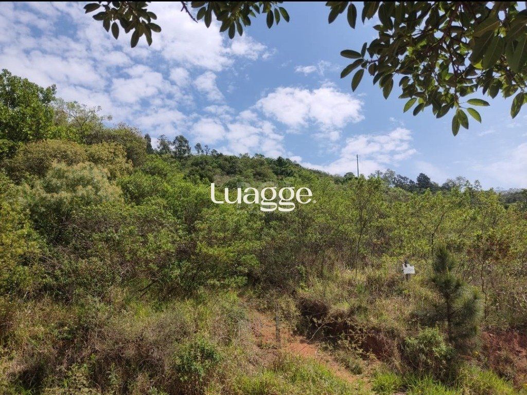 Terreno à venda, 59926m² - Foto 7