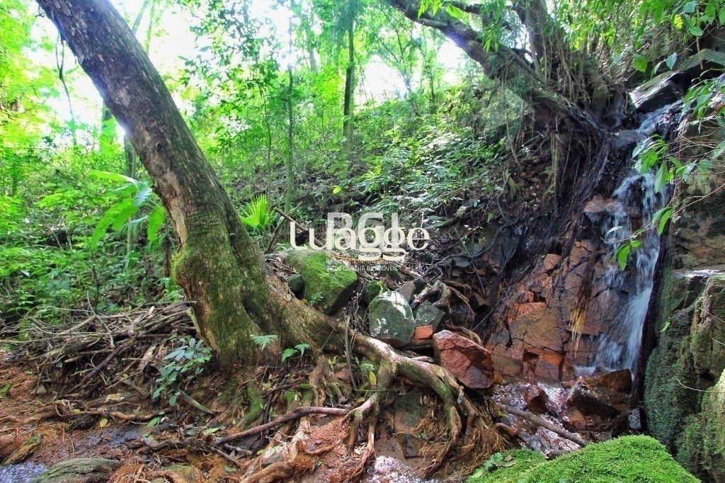 Apartamento, 3 quartos, 123 m² - Foto 13