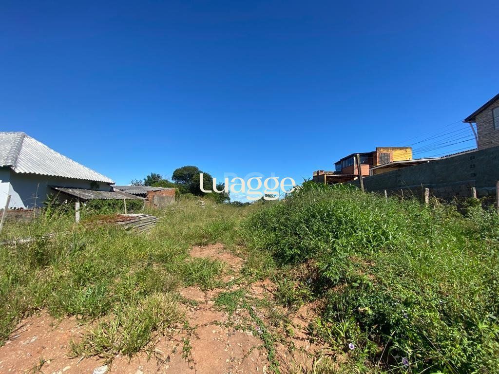 Terreno à venda, 1206m² - Foto 4