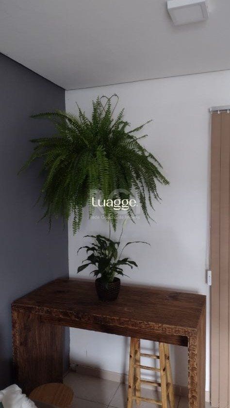 Casa de Condomínio à venda com 2 quartos, 54m² - Foto 3