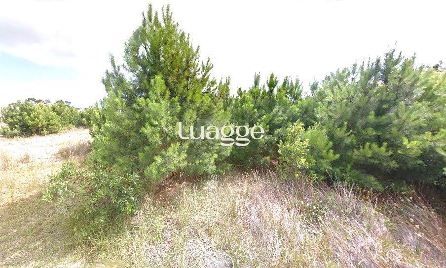 Terreno, 301 m² - Foto 2