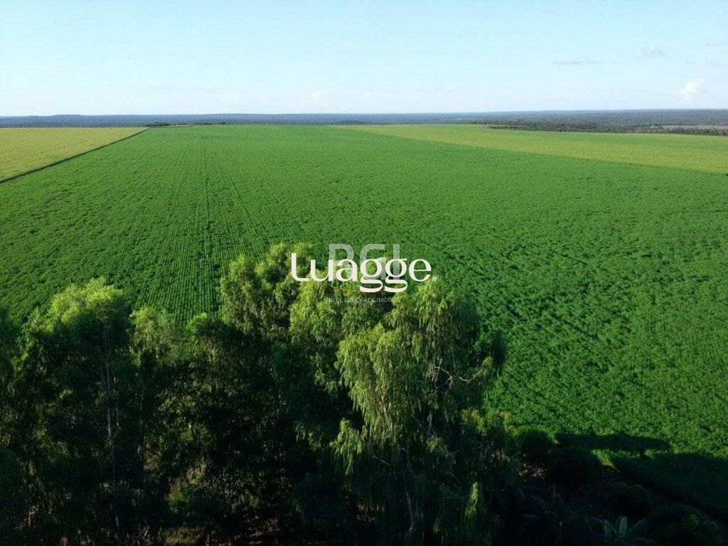 Terreno, 1050 hectares - Foto 1