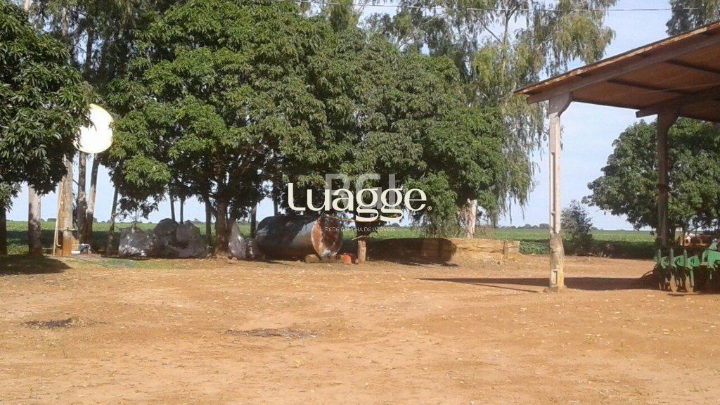 Terreno, 1050 hectares - Foto 4