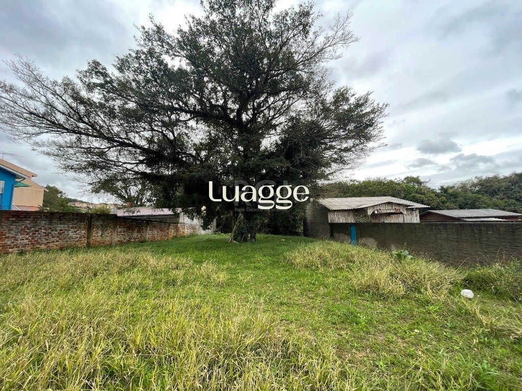 Terreno, 1031 m² - Foto 3