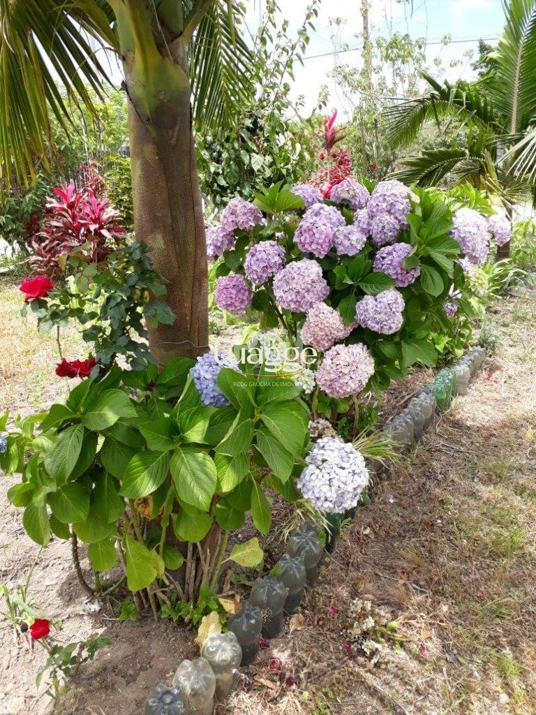 Terreno, 991 m² - Foto 2