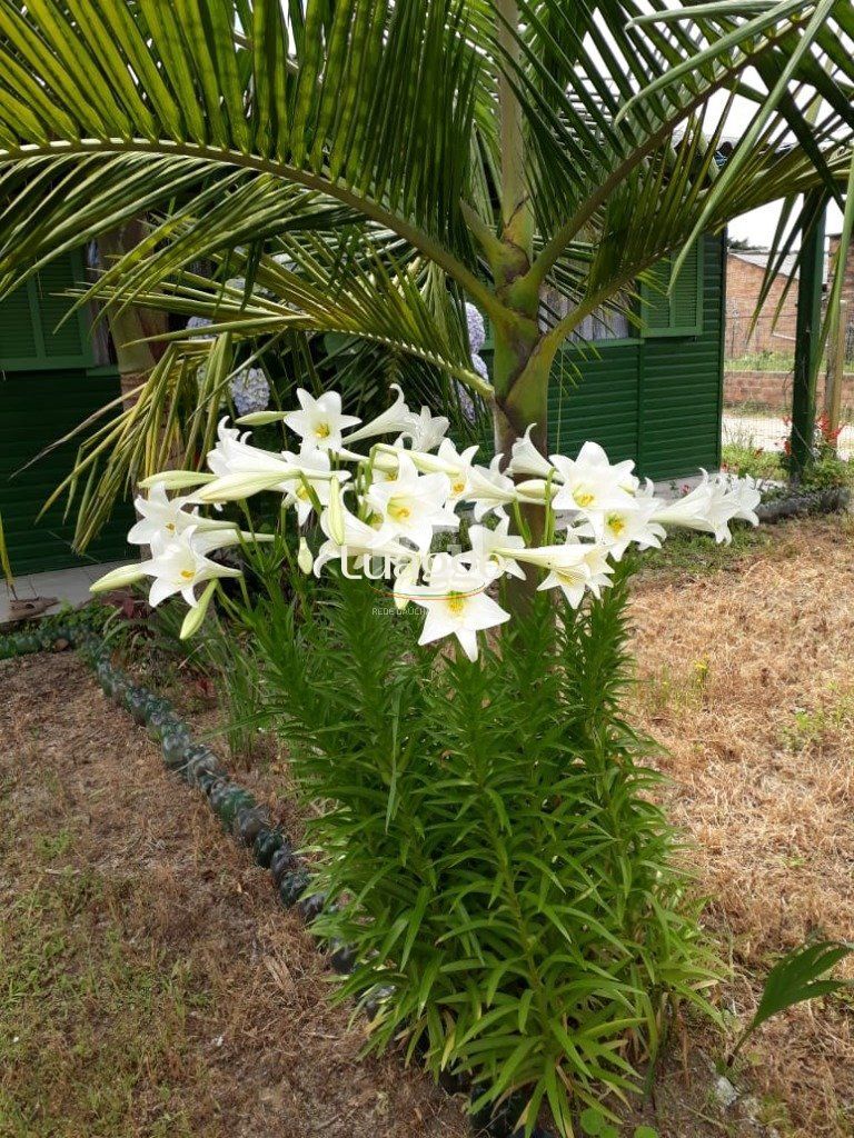 Terreno, 991 m² - Foto 6