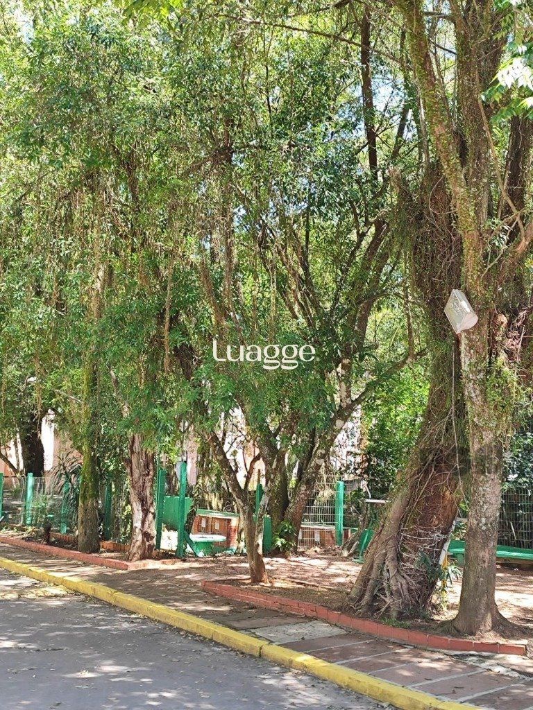 Apartamento à venda com 3 quartos, 66m² - Foto 20