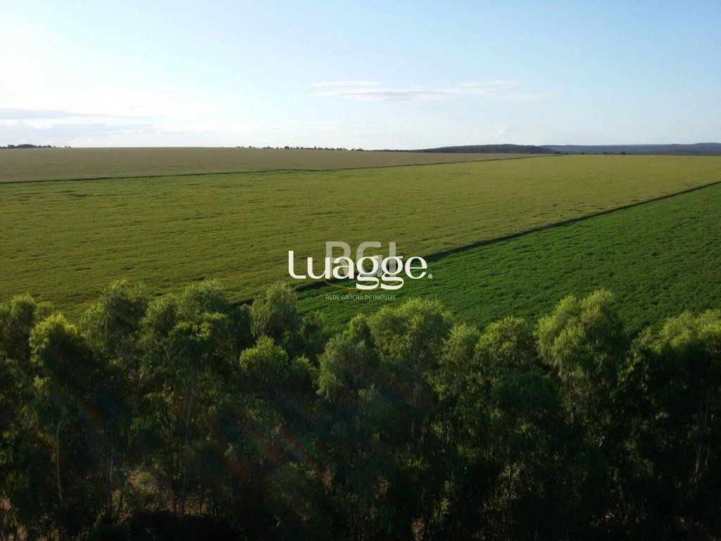 Terreno, 1050 hectares - Foto 2