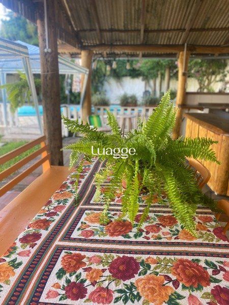 Casa à venda com 3 quartos, 260m² - Foto 8