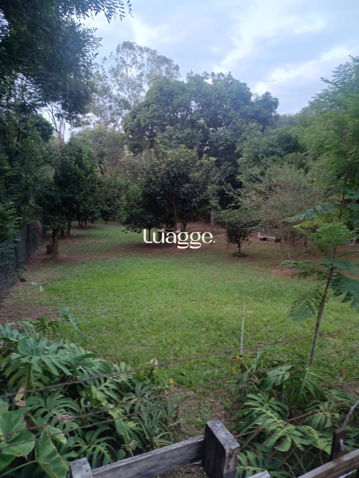 Sítio à venda com 2 quartos, 122m² - Foto 25