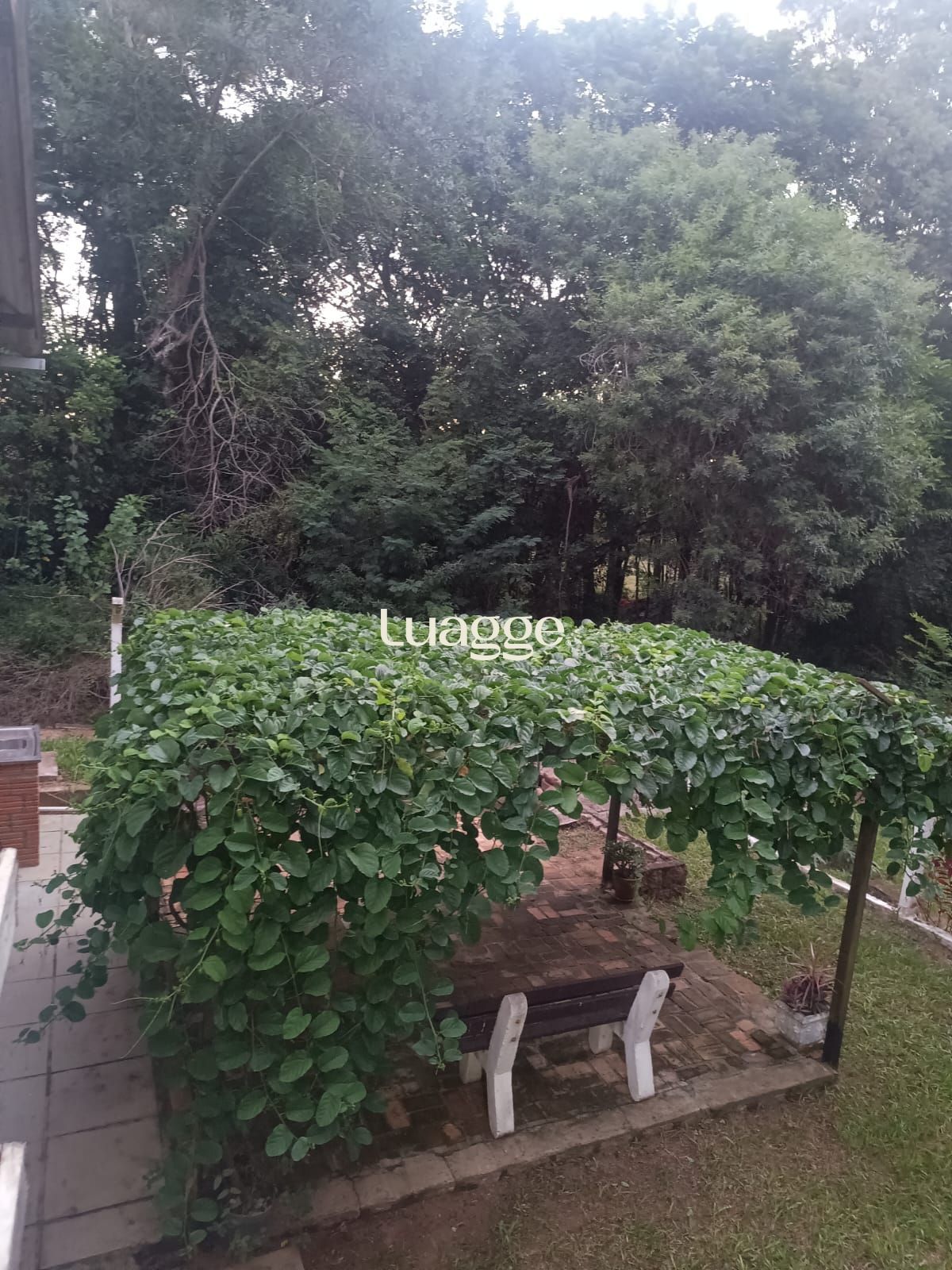 Sítio à venda com 2 quartos, 122m² - Foto 34