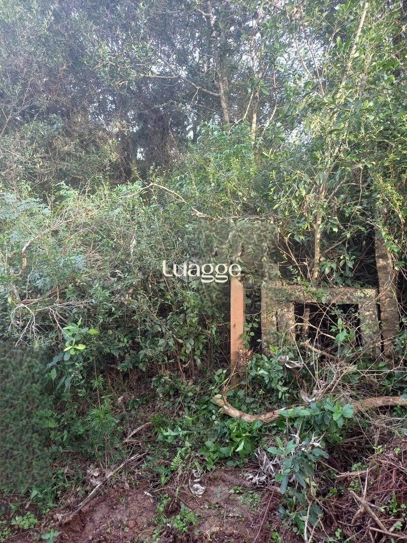 Terreno à venda, 4769m² - Foto 4