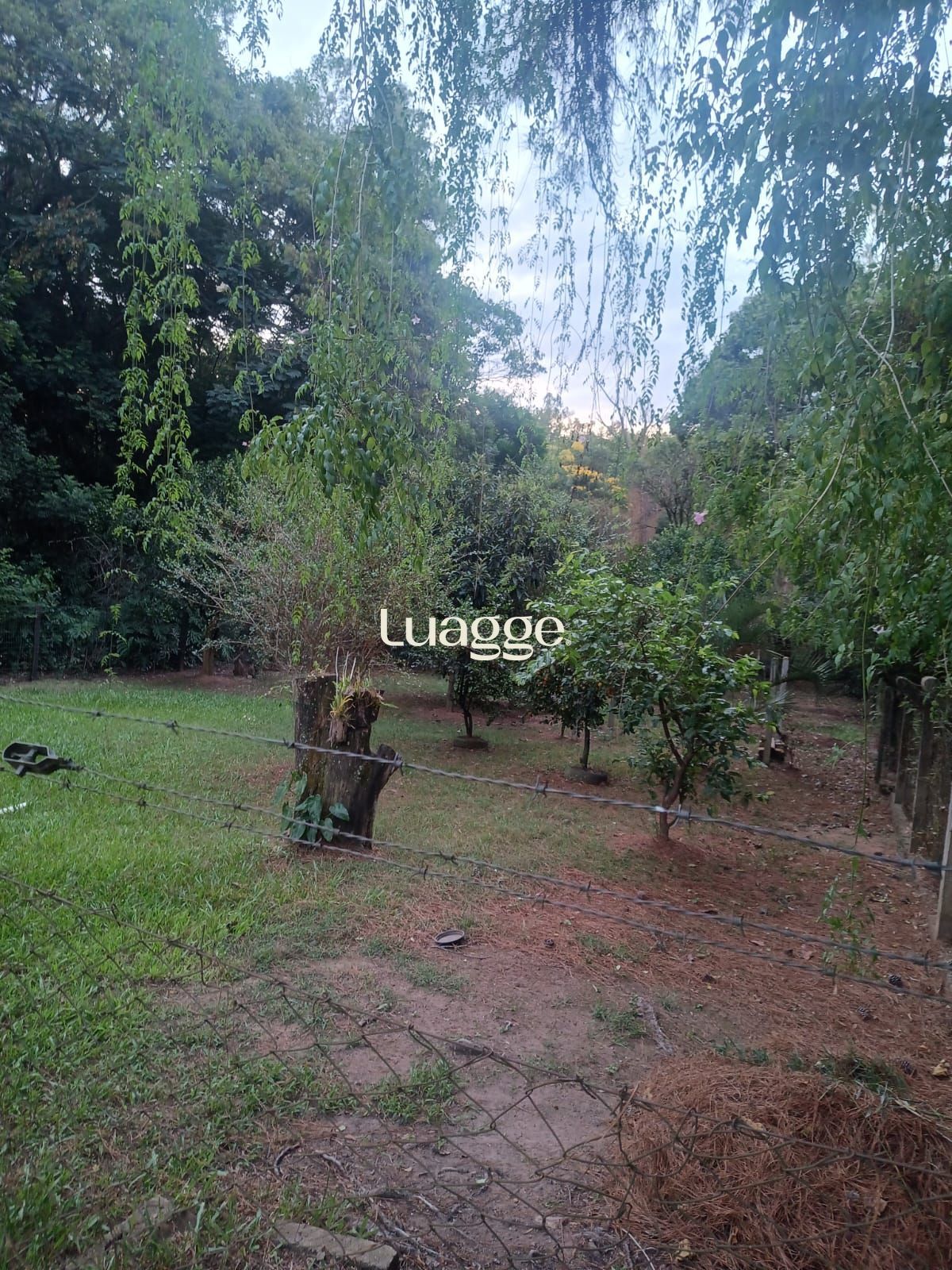Sítio à venda com 2 quartos, 122m² - Foto 3