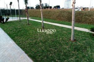 Terreno, 182 m² - Foto 5