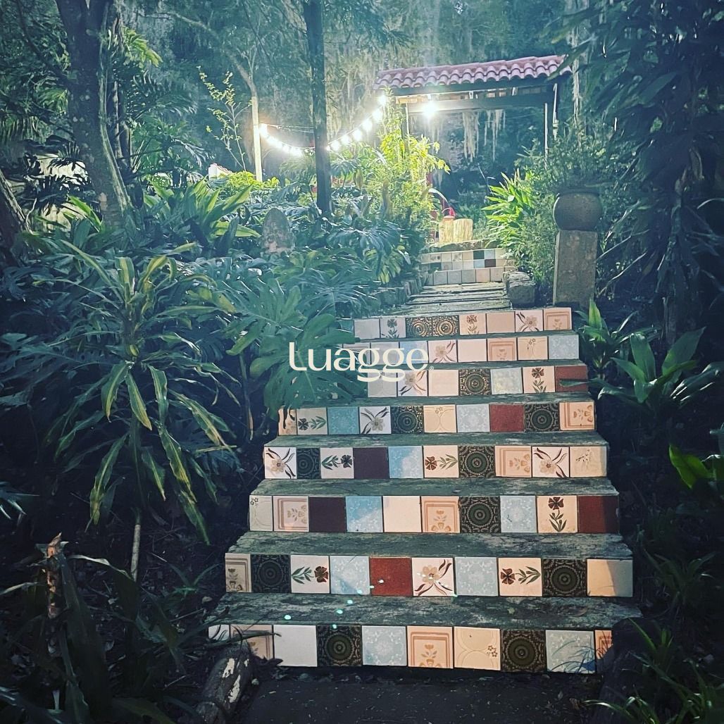 Sítio à venda com 3 quartos, 4500m² - Foto 17