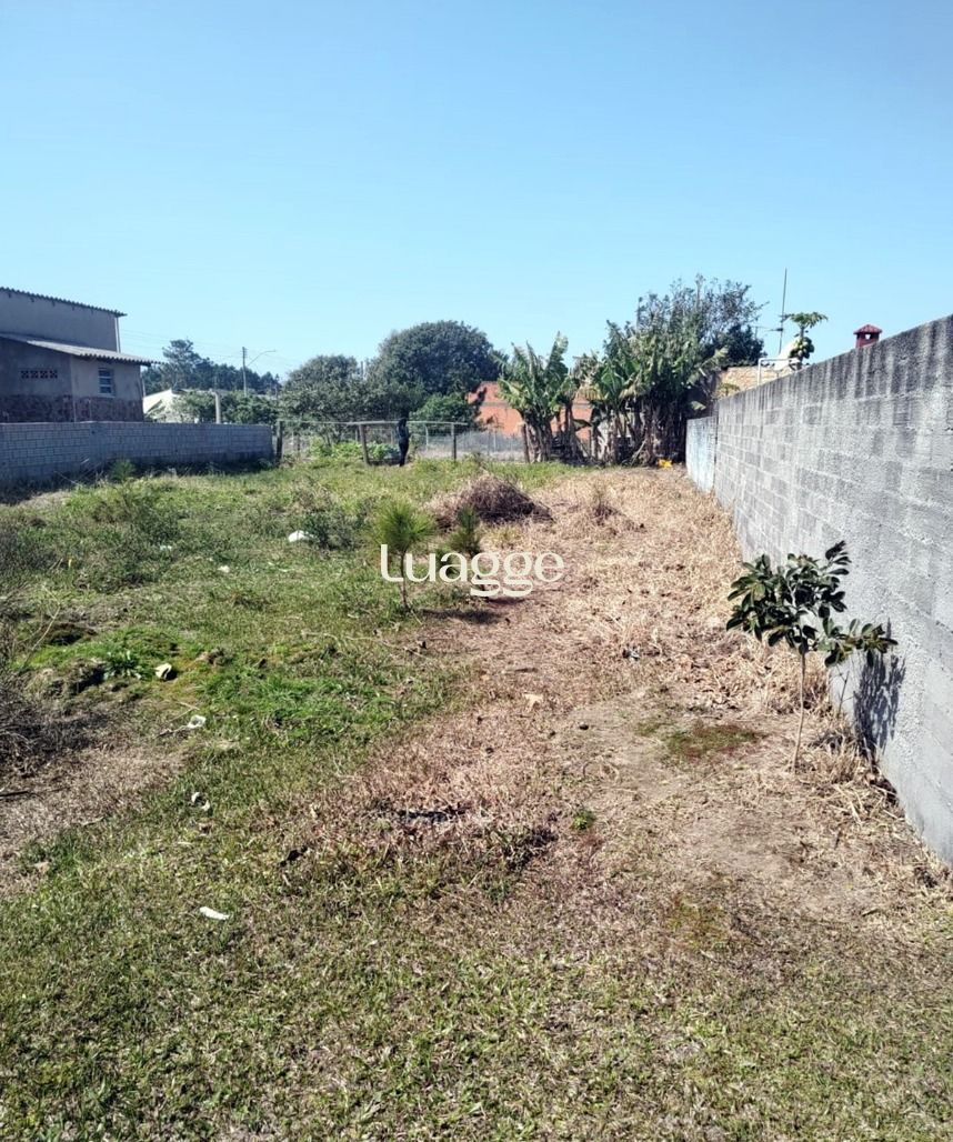 Terreno, 301 m² - Foto 6