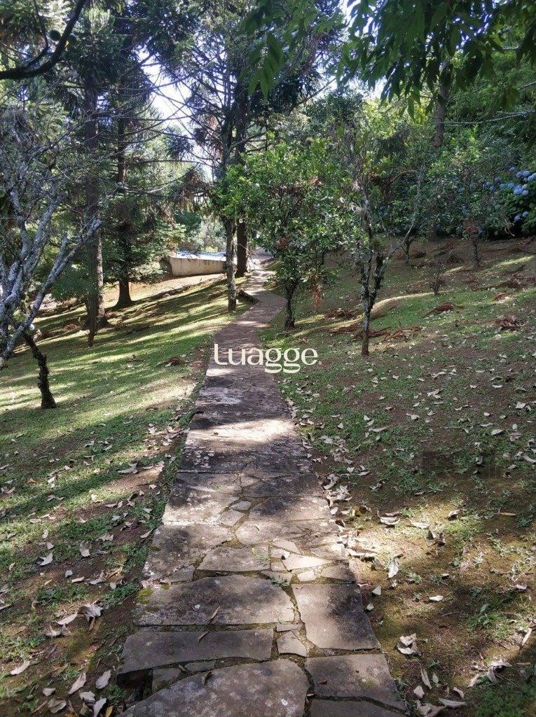 Sítio à venda com 3 quartos, 154m² - Foto 10