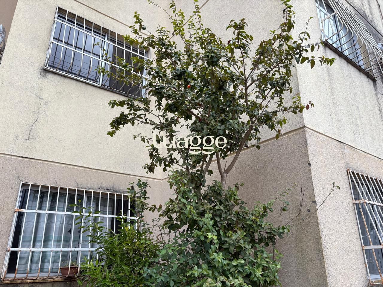 Apartamento, 2 quartos, 39 m² - Foto 30