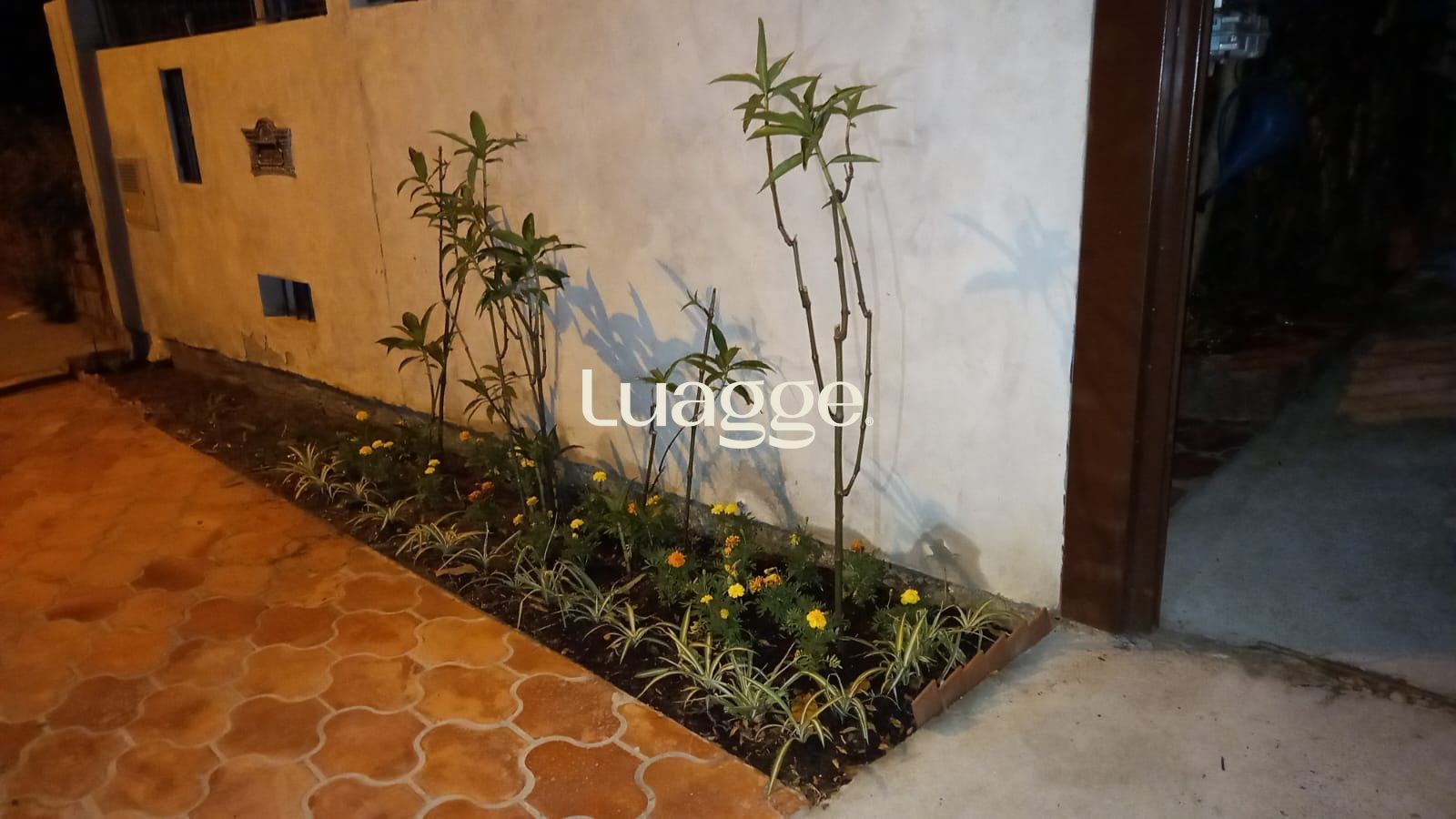 Terreno à venda, 299m² - Foto 3