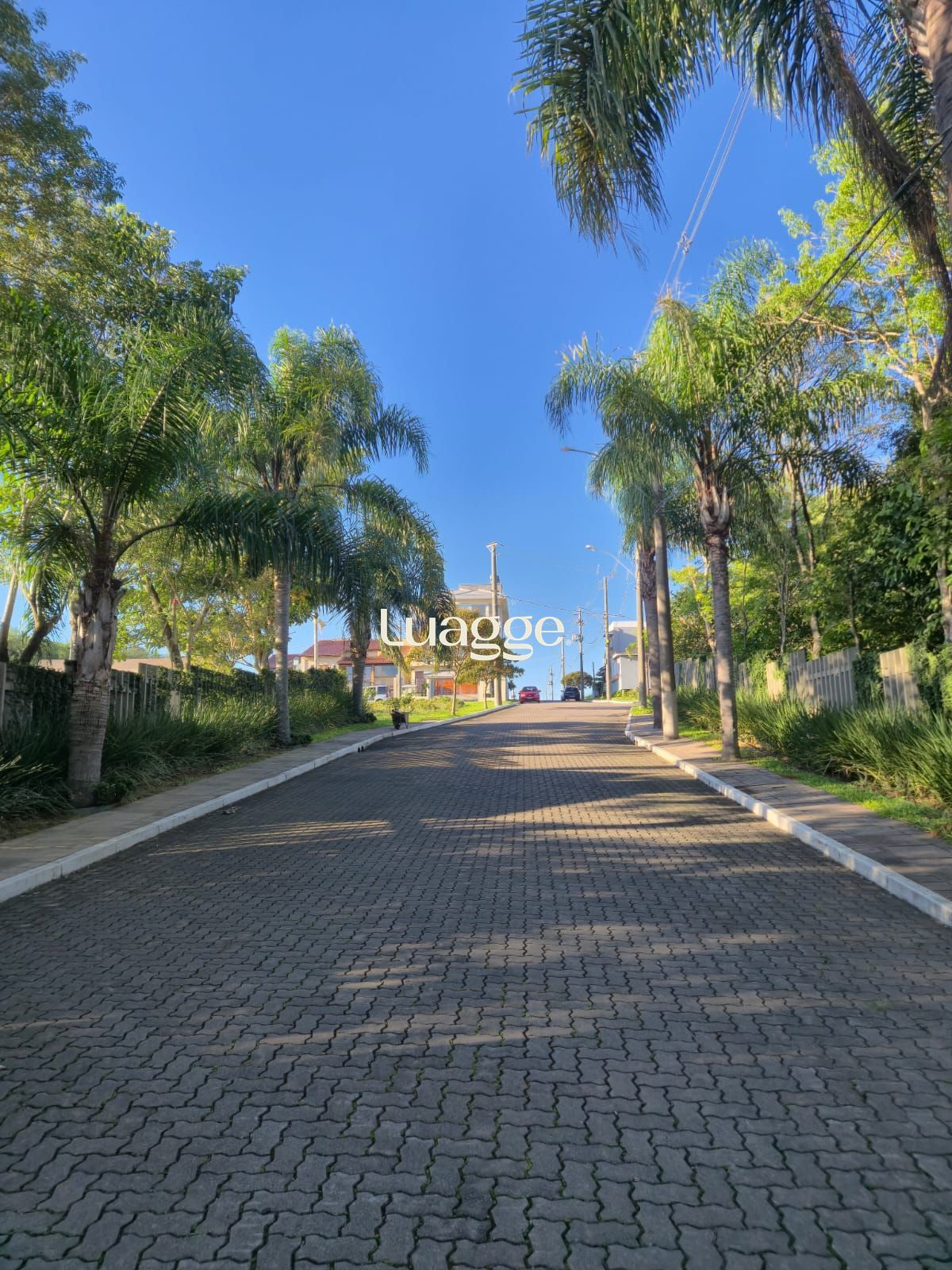 Terreno, à venda, Campo Novo - Porto Alegre — foto 4