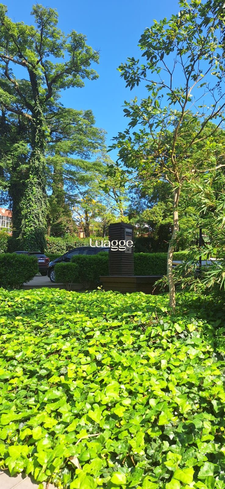Apartamento à venda com 2 quartos, 60m² - Foto 25