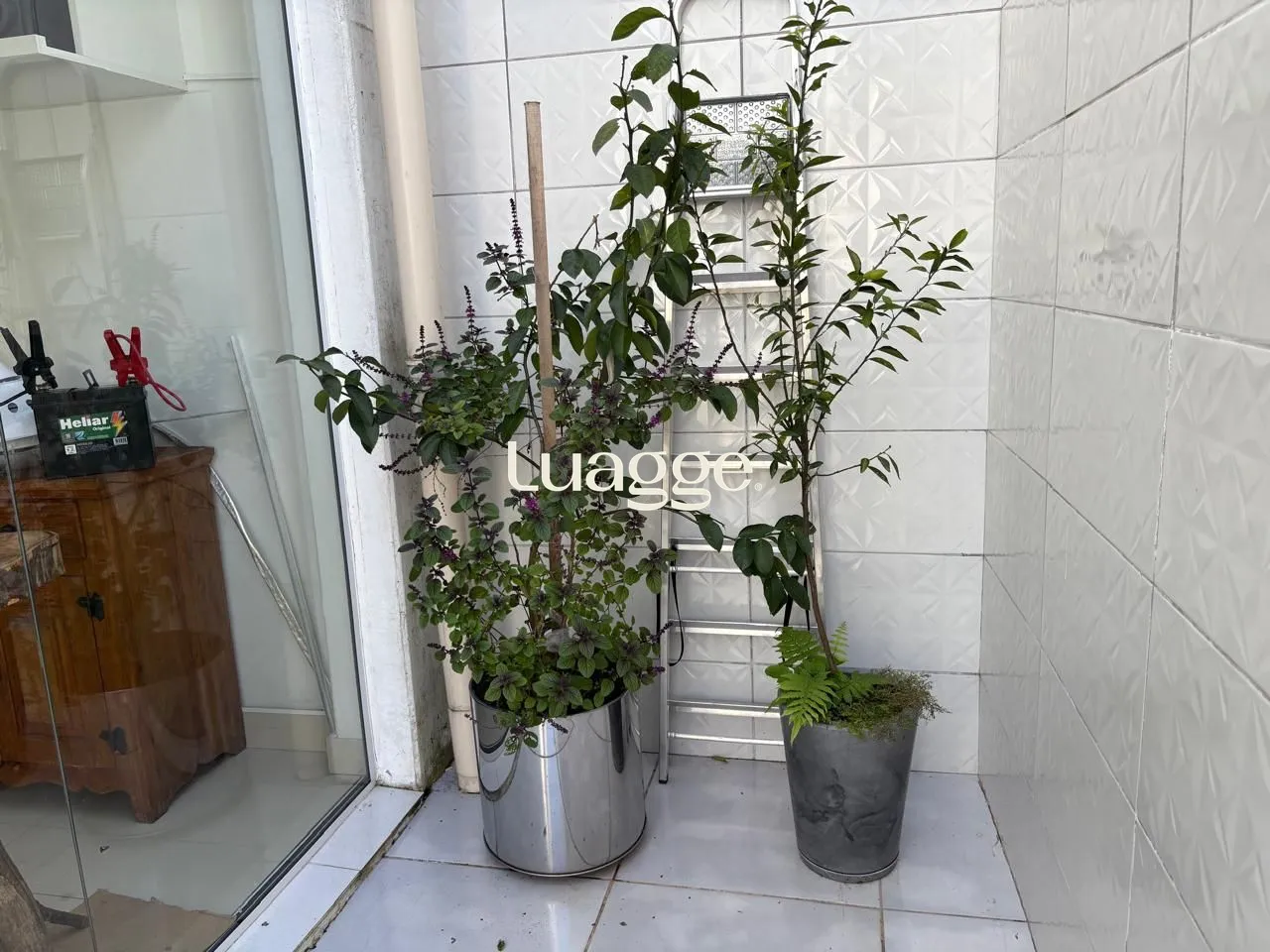 Loja-Salão, 526 m² - Foto 36