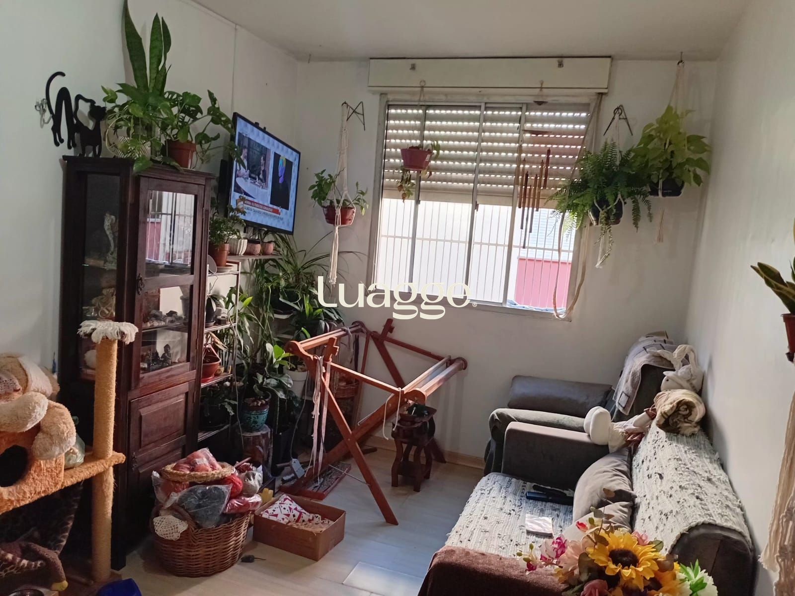 Apartamento, 2 quartos, 50 m² - Foto 6