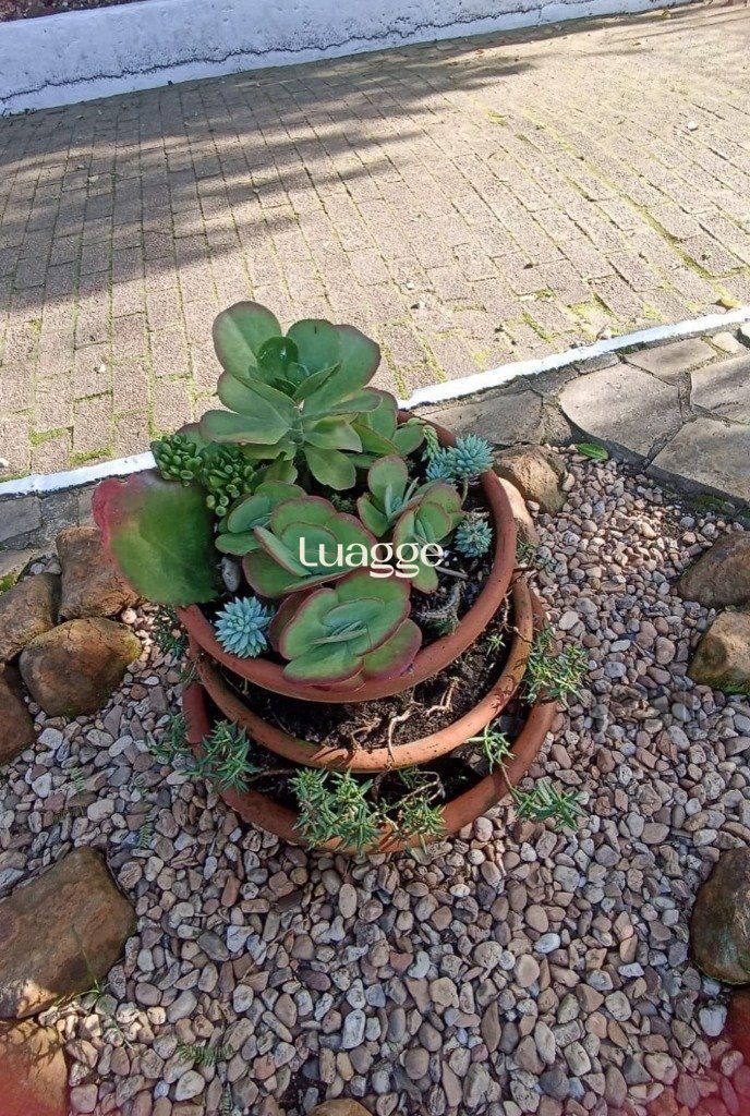 Apartamento, 2 quartos, 60 m² - Foto 22