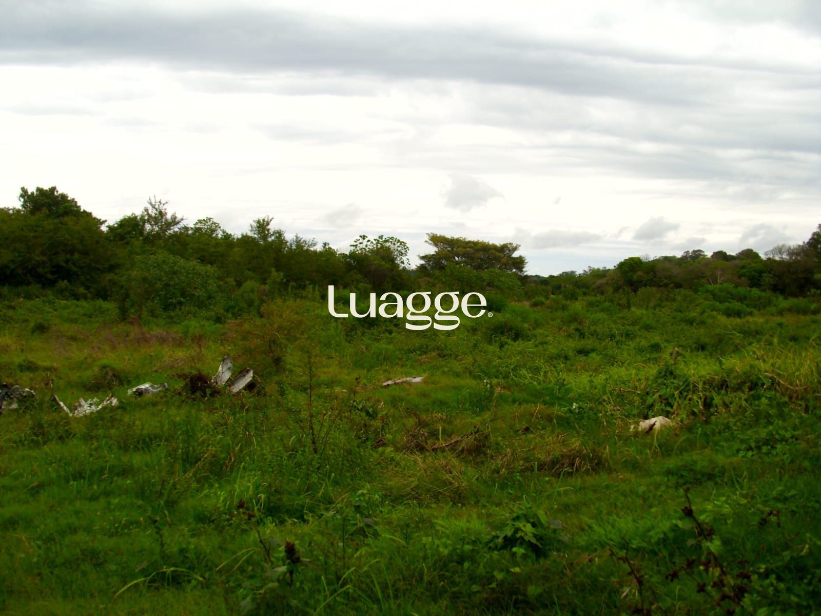 Área Rural à venda, Fiuza - Viamão