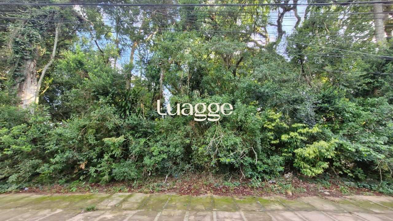 Terreno à venda, 6202m² - Foto 7