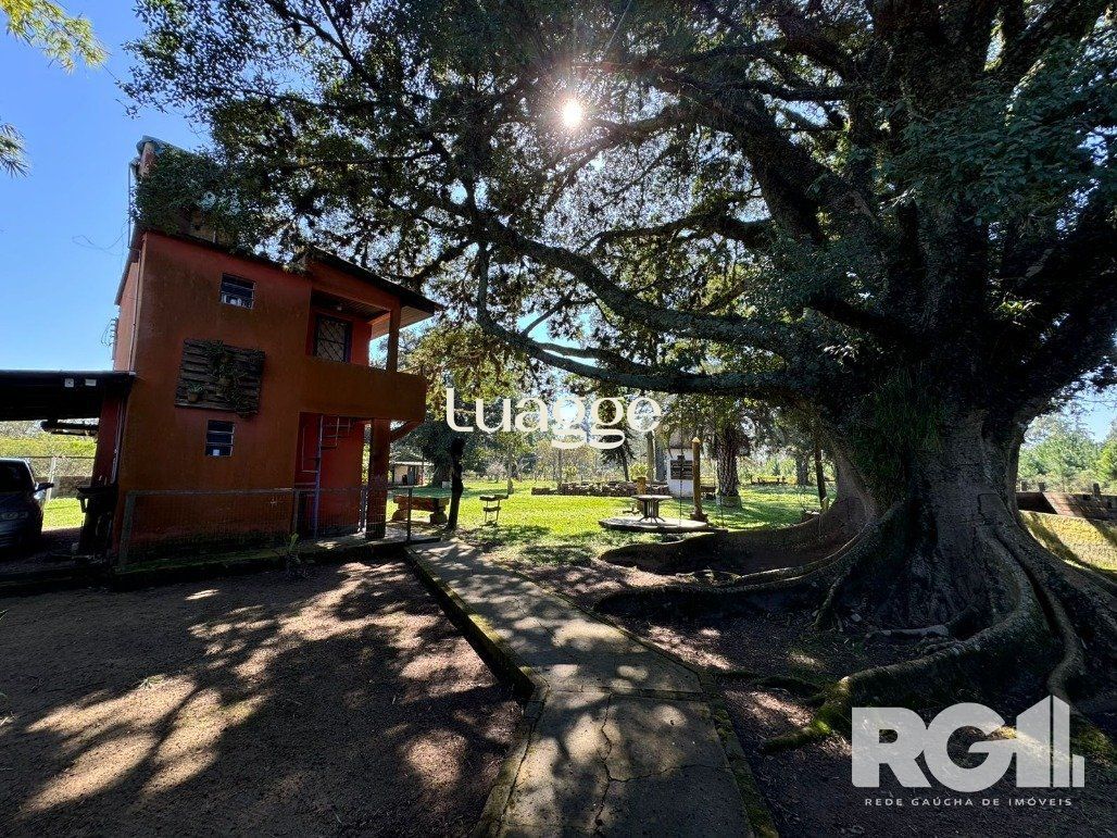Sítio à venda com 2 quartos, 390m² - Foto 4