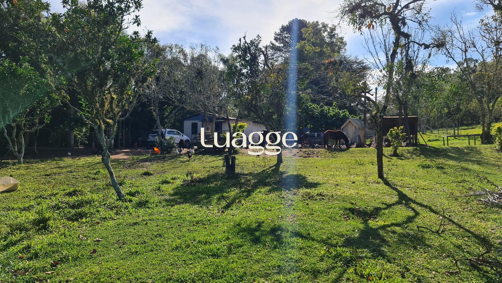 Chácara à venda com 2 quartos, 2m² - Foto 9