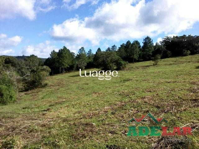 Sítio, 1501 m² - Foto 1