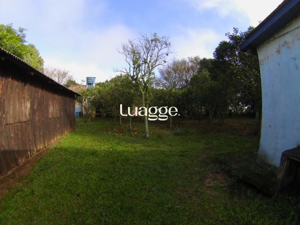 Sítio à venda, 10002m² - Foto 7